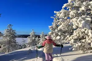 В Хибины на снегоступах — из Кировска