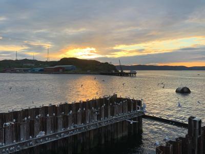 Териберка — вечное сияние чистого Севера (в группе) - 8