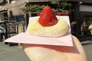 Влюбиться в Токио за один день! - 8