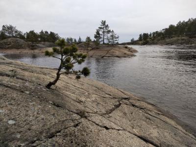 На катере по Ладожским шхерам: индивидуальная прогулка - 11