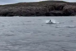 Териберка + выход в море - 15