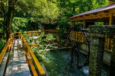 Абхазское комбо: Сухум + Черниговка + термальные источники Кындыг - 7