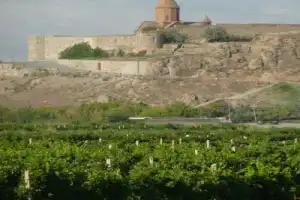 Экскурсия в Хор Вирап и Нораванк - 6