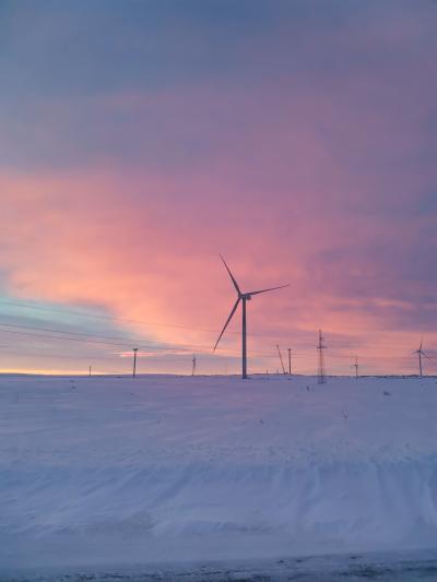 Фотопоездка в Териберку — киты, тундра и северное сияние - 23