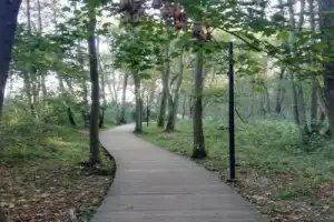 Зеленоградск — город-курорт! - 17