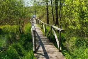 Велопрогулка в нацпарке «Виштынецкий» - 4