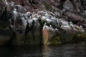 Морская прогулка в Териберке - 3