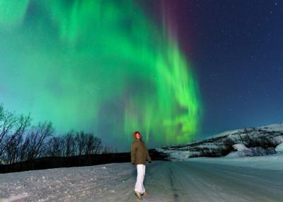 Северное сияние — охота на снегоходах - 8