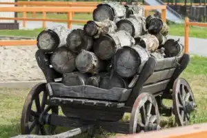 Городецкий край — русская Финляндия (из Нижнего Новгорода) - 3