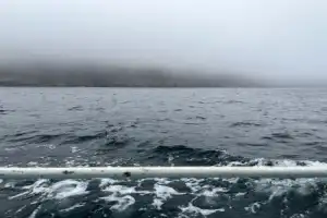 Приключение в Баренцевом море - 3