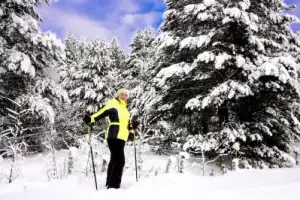 Лыжная Карелия: тур по живописным заснеженным маршрутам