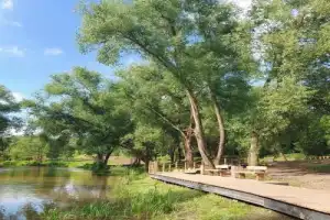 Зарайск, Даровое, Сенницы — очарование старинных усадеб (на вашем авто) - 3