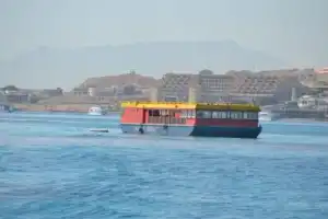 Морская прогулка на лодке с прозрачным дном - 11