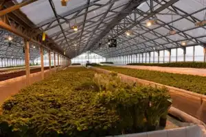 Необычное путешествие по окрестностям Казани — с посещением пивзавода - 9