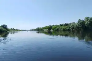 Маленькая Амазонка: по Каменной протоке — на сапах или байдарках - 4