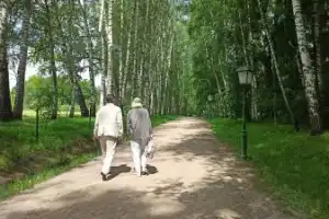 Большое путешествие в Ясную Поляну (на вашем автомобиле) - 7