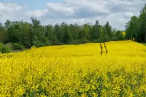 Велопрогулка в нацпарке «Виштынецкий» - 8