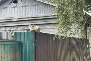 Тайны древнего Звенигорода - 7