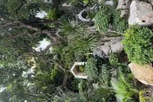 Вечерний Бангкок: закат, уличная еда и тайны мегаполиса - 12