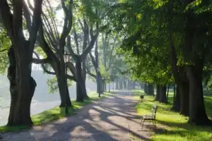 Групповая экскурсия в замки Мир и Несвиж (обед включен) - 5