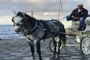 Секретная Ханья - 4