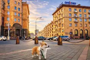 История Минска на душевной прогулке
