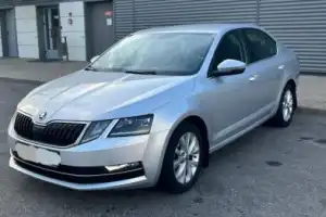 Трансфер из Бреста в Мирский и Несвижский замки и обратно - 15