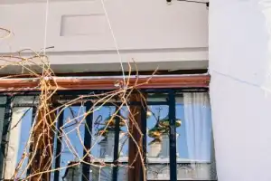 Суздаль: дух древнего города - 7