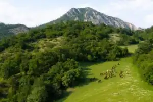 Поход через леса Дилижана на гору Апакекар - 4