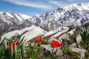Чимганские горы, курорт Амирсай, водопад «Фата невесты» и Чарвакское водохранилище - 5