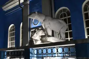 Мурманск — город полярных дней и ночей Мурманск — город полярных дней и ночей