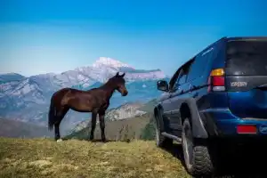 Из Владикавказа — сквозь величие гор