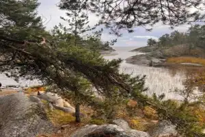 Ладожские шхеры и острова Карелии — из Сортавалы - 6