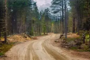 Фототур к самому Белому морю - 4