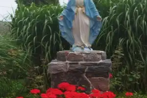 Путешествие по живописным окрестностям Гродно - 6