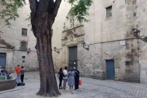 Невероятная Барселона за 1 день - 6