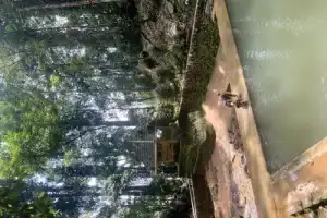 Экскурсия-треккинг: джунгли Пхукета + водопад - 2