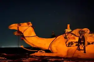 Ночная прогулка на верблюдах по-бедуински - 5