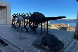 Гастропутешествие из Мурманска в Териберку! - 10