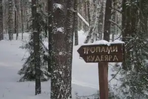 Орловское Полесье: по следам зубров, вятичей и героев Тургенева - 22