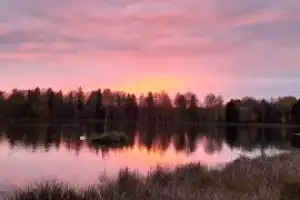 Все парки и замки Гатчины за один день - 13