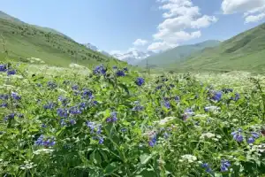 Цейская Сказка: легенды и волшебные панорамы - 10