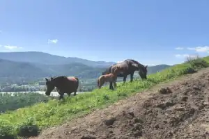 Треккинг по хребту над долиной Катуни - 17