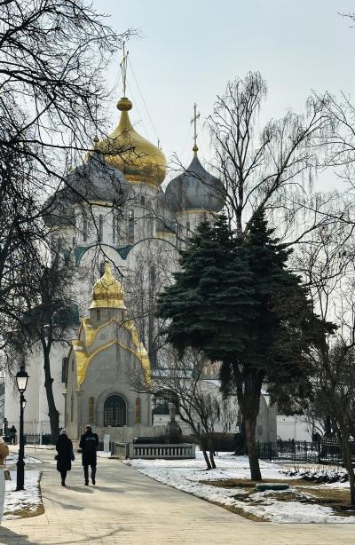 Царственные насельницы Новодевичьего монастыря - 7