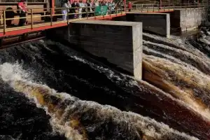 Из Сортавалы — к лесным водопадам и месторождению граната - 10