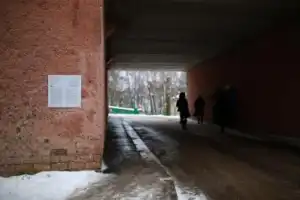 Современное искусство в Сыктывкаре - 4