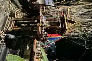 Магия Чайнатауна в Бангкоке - 14