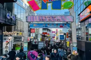 Мост веков в Токио: от традиций до современности - 14