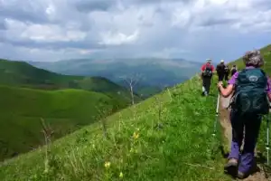 Альпийские луга и зелёные леса Дилижана Альпийские луга и зелёные леса Дилижана