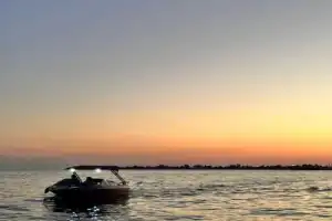 Встреча с дельфинами — на катере в Сухуме - 2